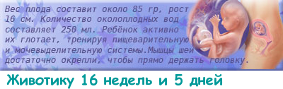 Гликемический профиль как сдавать беременным 45