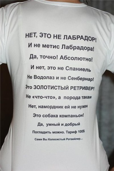 Цитаты только о лабрадоре Цитаты только о лабрадоре