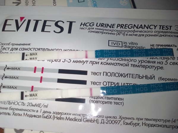 Lelu love accidental creampie pregnancy test compilations