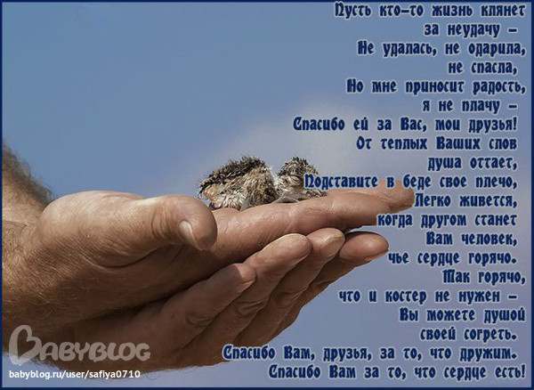 С днем рождения от хачей С днем рождения от хачей