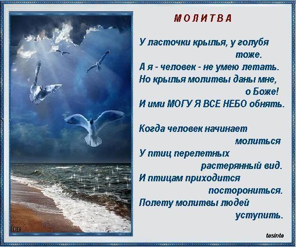 Поздравления сестре с рождением дочки Поздравления с днем