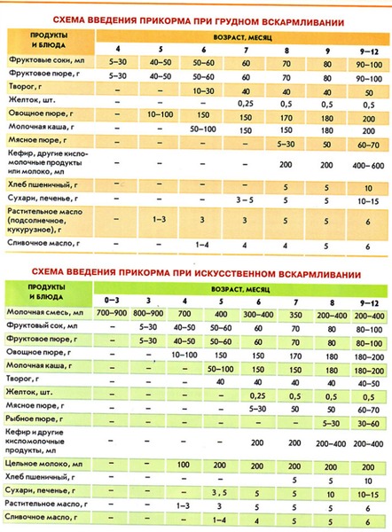 Первый прикорм своими руками Первый прикорм своими руками