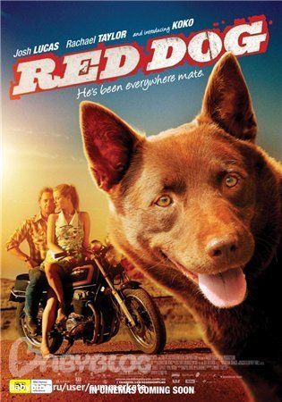 Year Of The Dog Full Movie