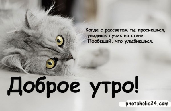 http://062012.imgbb.ru/a/9/8/a98a57b0aca4e20827692e3cf0a07f67.jpg