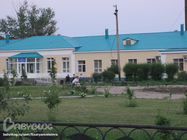 Ветеринарные клиники нижневартовска цены