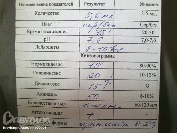 Как зачать при плохой спермограмме Как зачать при плохой спермограмме