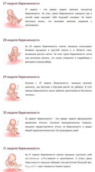 Беременность месяц шестой