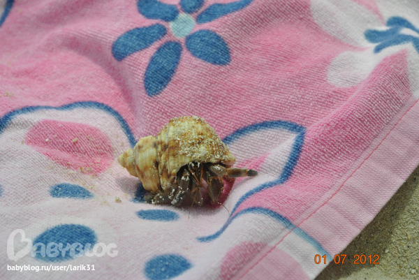 Пляж Три Транг на Пхукете (июль)