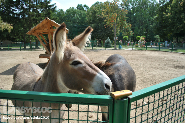 Лерочка, с ДНЁМ РОЖДЕНИЯ тебя!!!!!!