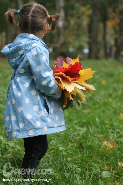 Осенняя рапсодия