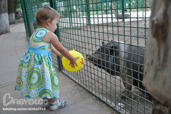 Лерочка, с ДНЁМ РОЖДЕНИЯ тебя!!!!!!