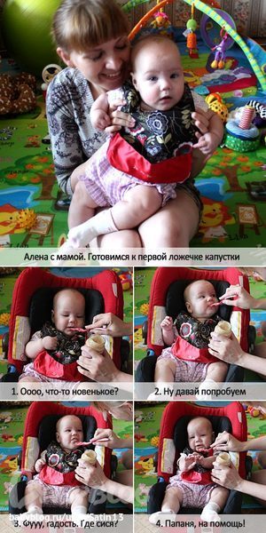 Полугодовасие и первый прикорм