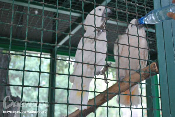 Лерочка, с ДНЁМ РОЖДЕНИЯ тебя!!!!!!