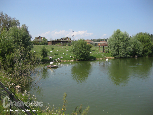 Парк птиц "Воробьи".