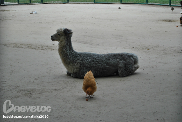 Лерочка, с ДНЁМ РОЖДЕНИЯ тебя!!!!!!