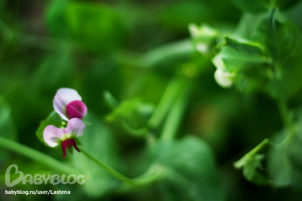 0cc45d20b702fd558bad081f1796ed88.jpg