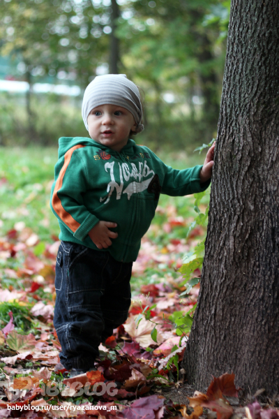 Осенняя рапсодия