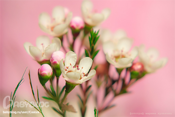 144d3abd1ac6b1bfcd06b96e970f7174.jpg