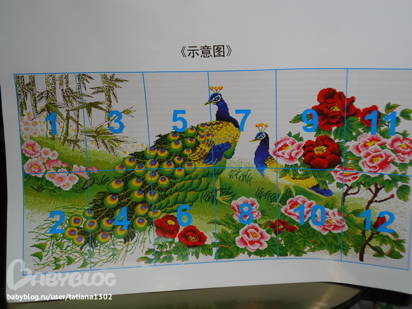 1526f5ae6b16b459de4a3a675b9b7b49.jpg