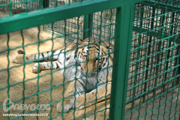 Лерочка, с ДНЁМ РОЖДЕНИЯ тебя!!!!!!