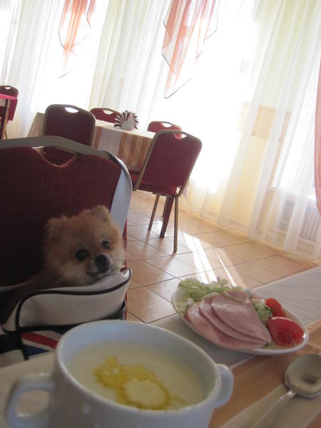19f1005054abb0bfc99d8cacbbe816b0.jpg