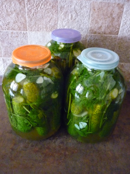 Ответный сюрприз мужу - сто его любимых малосольных огурцов :)