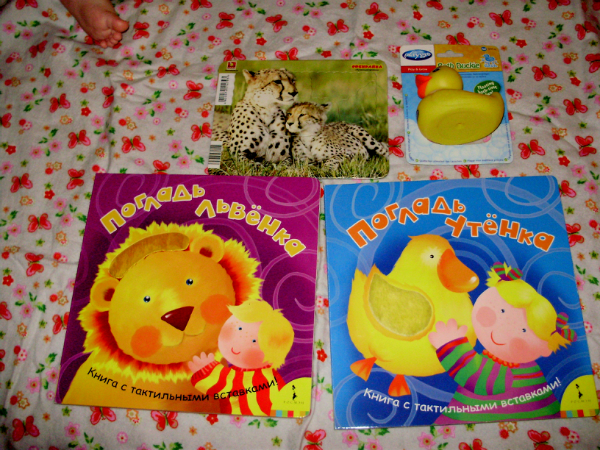 "Обновки" для любимого воробышка)))