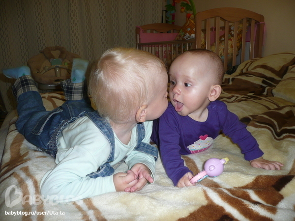2d8006908d55a63babeac82bd346a6c9.jpg