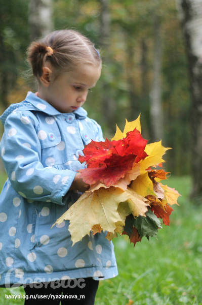 Осенняя рапсодия