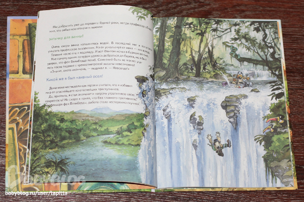 Книжные полки пополнились подарками