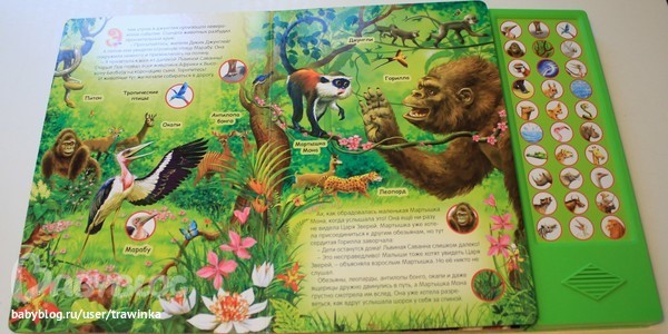 Любимое малышковое, или что мы читаем.