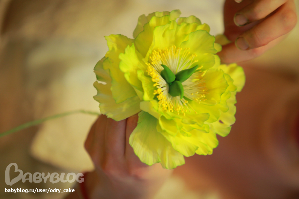 цветы в английской технике