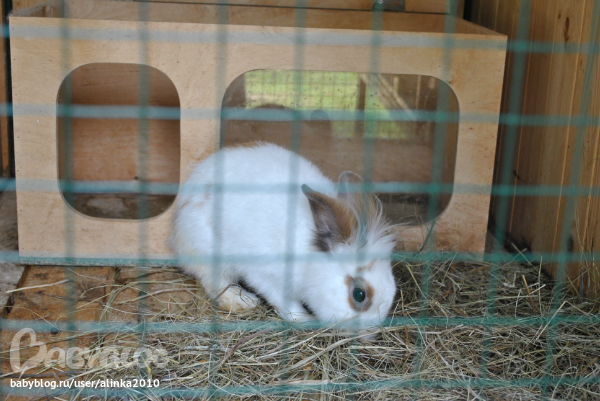 Лерочка, с ДНЁМ РОЖДЕНИЯ тебя!!!!!!