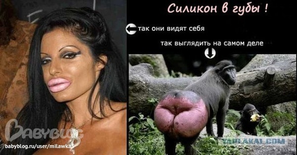3c55b990f432dd4a9fe2d448d981cbcf.jpg