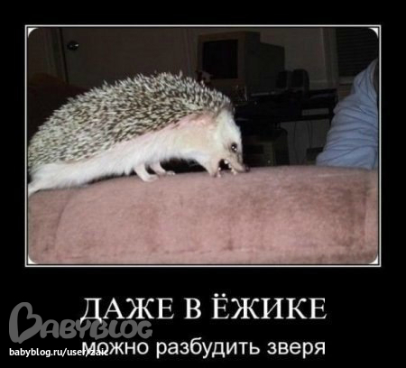 3ec781918a3ee074db612851487b1b9b.jpg