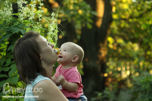 Любимая соска