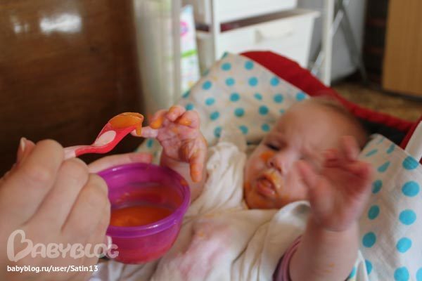 Сумасшедшие фанатки тыковки