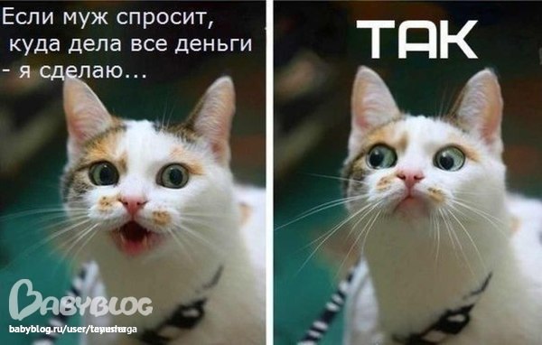 4e8581c7a30819166507a93af1e25ffa.jpg