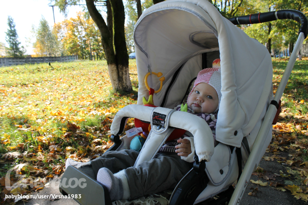 Наша первая осень