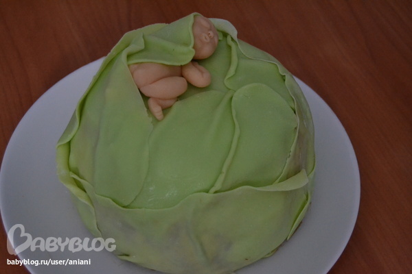 Моя первая капуста.