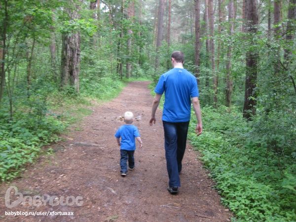 Прогулка в бору.