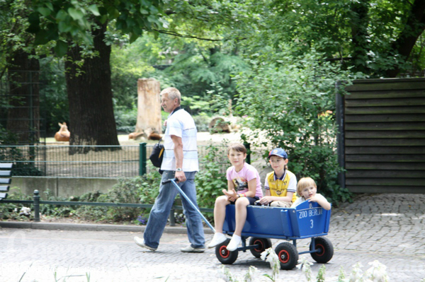 На авто по Европе с детками. часть 1