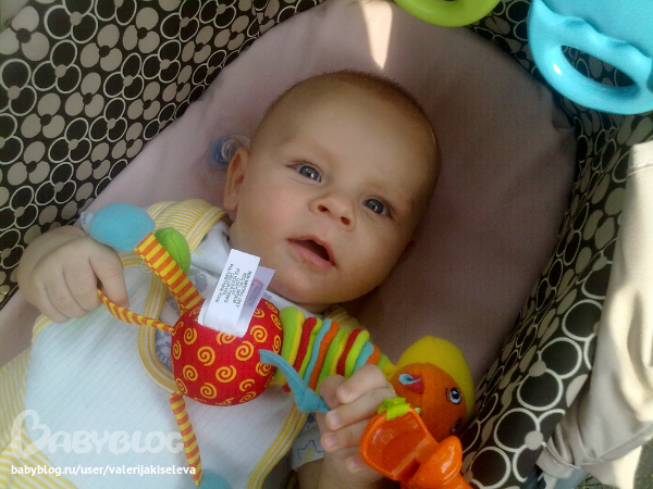 В преддверии 4 месяцев