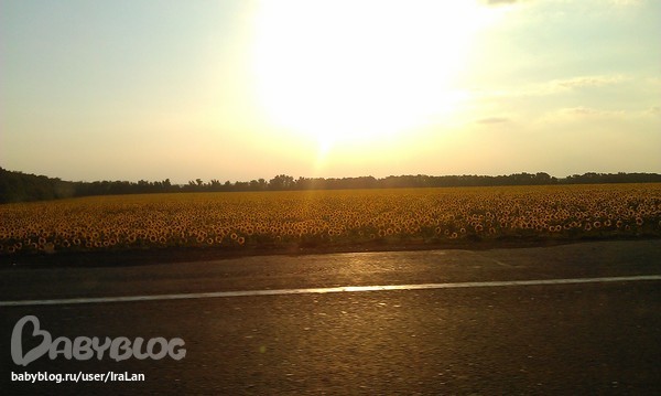 Дорога до Ейска