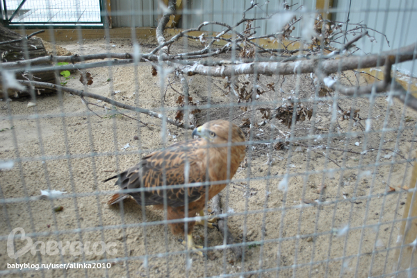 Лерочка, с ДНЁМ РОЖДЕНИЯ тебя!!!!!!