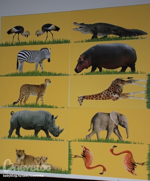 Любимое малышковое, или что мы читаем.