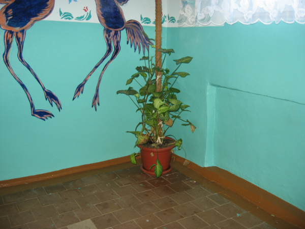 Живут же люди...)))