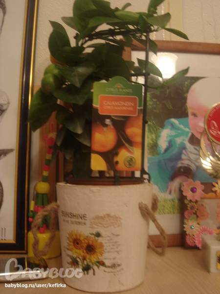 Нашей семье пять лет...и мы СЧАСТЛИВЫ!