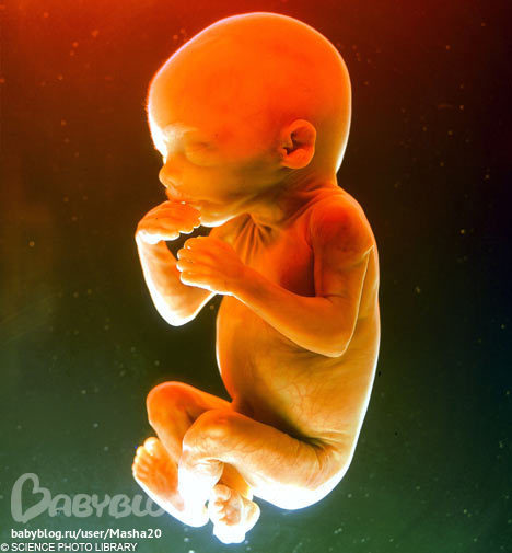 59ce37e415cc4002da348304034ec28a.jpg