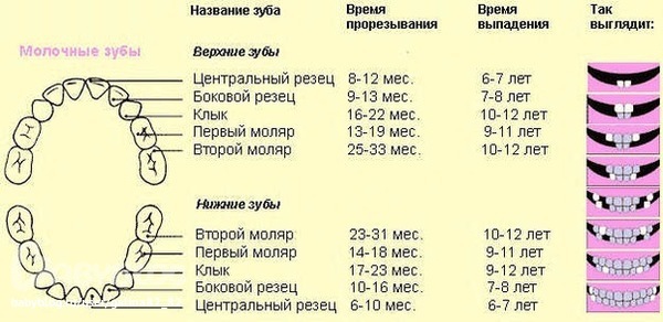 Каковы схемы зубофрезерования зубодолбления